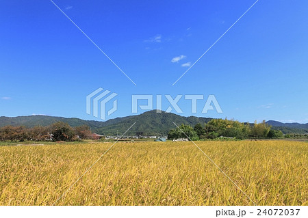 山の辺の道 三輪山と田園風景 山の辺の道 三輪山と田園風景 24072037