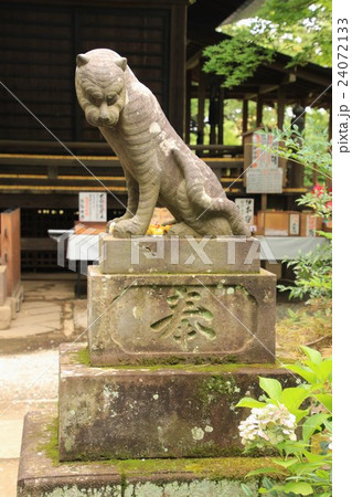 多聞院、狛虎 多聞院、狛虎 24072133