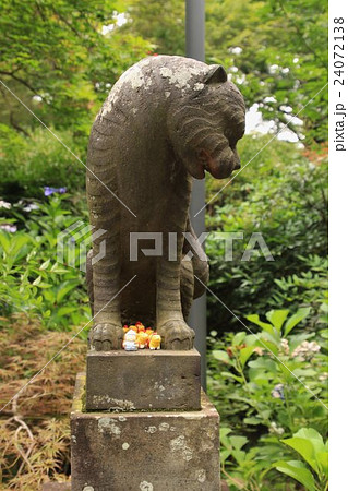狛虎、多聞院、毘沙門堂、身代り虎、 24072138