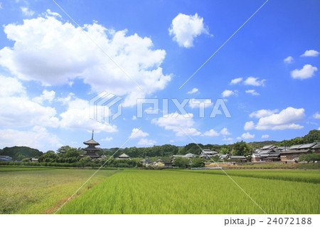 いかるがの里　法起寺　田園風景 24072188