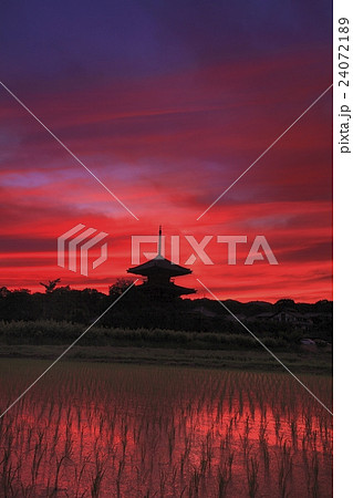 いかるがの里　法起寺夕景 24072189