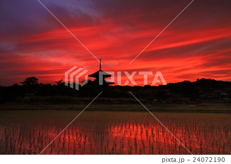 いかるがの里　法起寺夕景 24072190