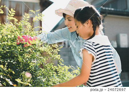 Japanese woman golfer , housewife Japanese woman golfer , housewife 24072697