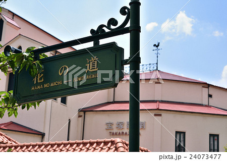 宝塚の花のみち 宝塚の花のみち 24073477
