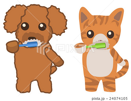 歯を磨く犬と猫のイラスト素材