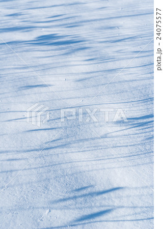 雪原 雪原 24075577