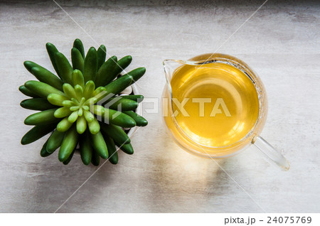 Flat lay artificial cactus and green tea 24075769