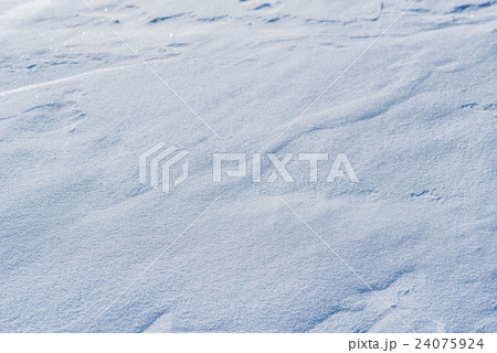 雪原 雪原 24075924