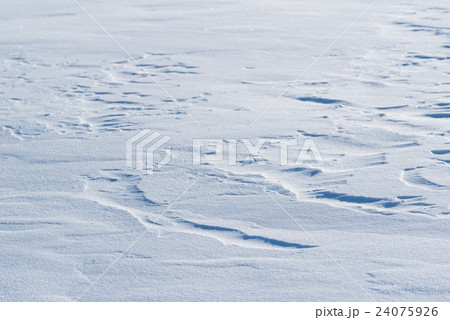 雪原 雪原 24075926