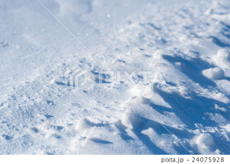 雪原 24075928