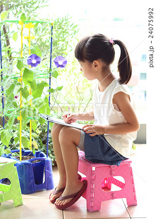 自由研究 自由研究 24075992