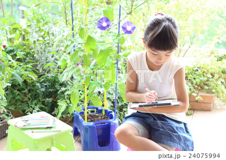 自由研究 24075994