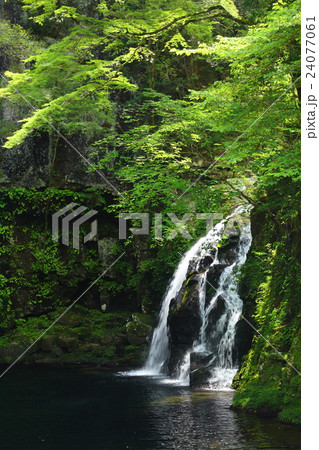 赤目四十八滝 千手滝(三重県) 赤目四十八滝 千手滝(三重県) 24077061