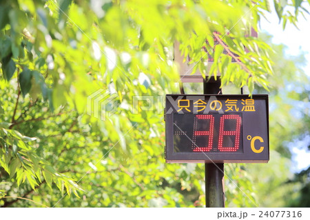 猛暑 24077316