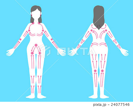 リンパマッサージ　イメージイラスト 24077546