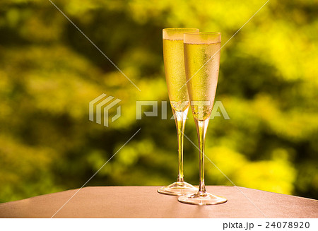 高原で ワイン シャンパン スパークリングワイン 乾杯の写真素材 2407