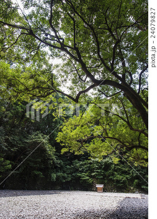 伊勢神宮 古殿地 伊勢神宮 古殿地 24079827
