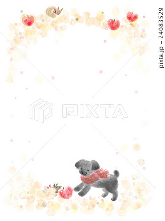 秋いろ黒プー 24083529