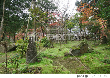 西明寺 西明寺 24084030