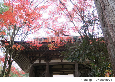 西明寺 西明寺 24084054