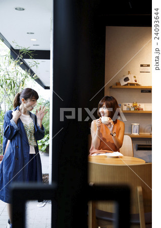 カフェ　女性　喫茶店　休日　リラックス　撮影協力：TENOHA DAIKANYAMA 24093644