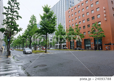 雨の御堂筋 24093788