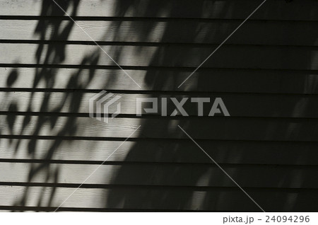 壁と影 24094296