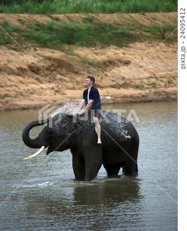 Fun with elephant Fun with elephant 24095412