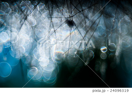 Pentaconav80f2 8 Trioplan100f2 8 オールドレンズのバブルボケの写真素材