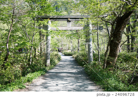 穂高奥宮（長野県松本市・初夏・上高地の風景） 24096728