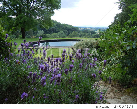 イングリッシュガーデン（コッツウォルツのキフツゲイトコートガーデン） 24097173