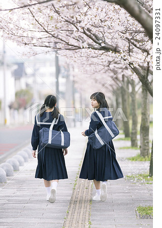 歩く2人の女子学生 24097331