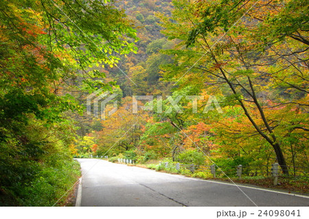 奥胎内の紅葉 24098041