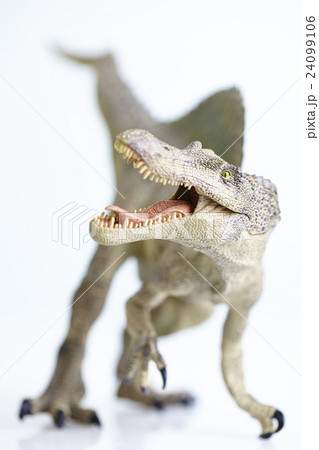 Dinosaur 24099106
