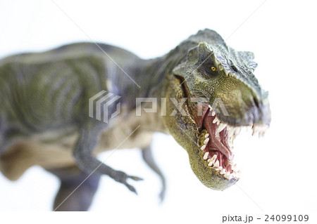 Dinosaur Dinosaur 24099109