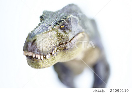 Dinosaur 24099110