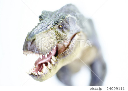 Dinosaur 24099111