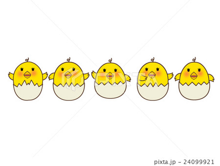 ひよこ5兄弟のイラスト素材 [24099921] - PIXTA