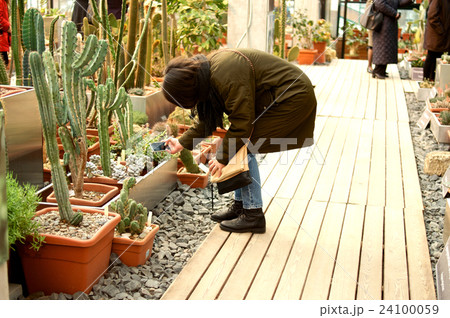 Girl taking picture of cactus Girl taking picture of cactus 24100059