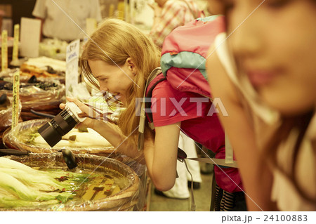 市場を観光する外国人女性 24100883