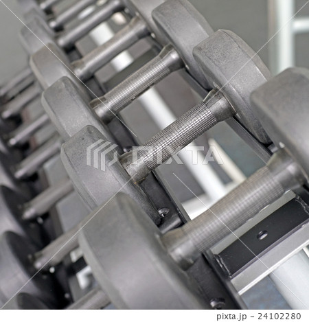 sports dumbbells in the gym sports dumbbells in the gym 24102280