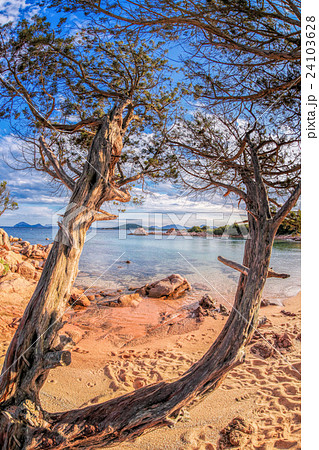 Capriccioli beach on Sardinia island Capriccioli beach on Sardinia island 24103628