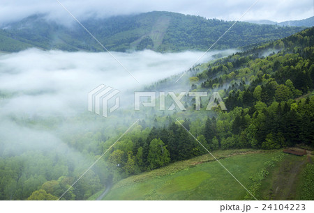 トマム雲海 トマム雲海 24104223