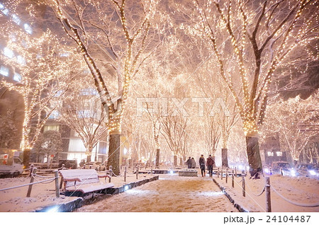 光のページェント 光のページェント 24104487