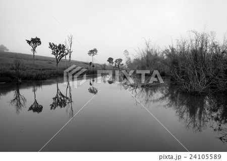 Tree reflection at Thung Salang Luang Tree reflection at Thung Salang Luang 24105589