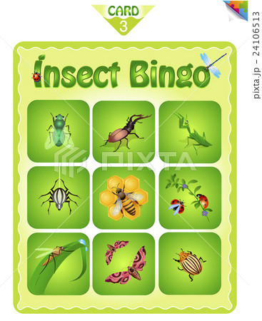 Bingo  with different insects 3 24106513
