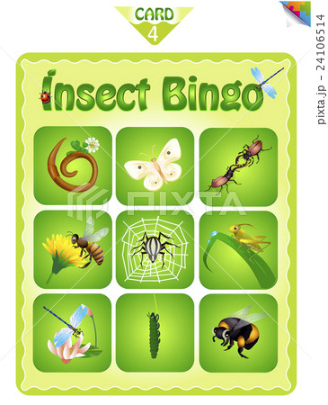 Bingo with different insects 4 Bingo with different insects 4 24106514