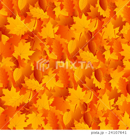 Autumn Leaves Background 24107641