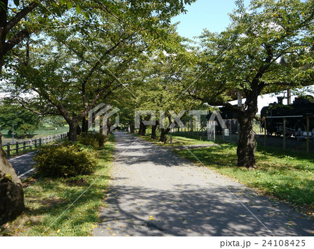 夏の北上展勝地 夏の北上展勝地 24108425