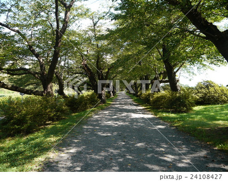 北上展勝地 北上展勝地 24108427